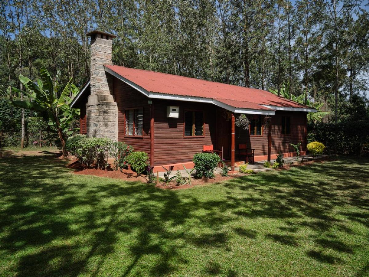 Hotel The Drexel House Kenya Nairobi Esterno foto
